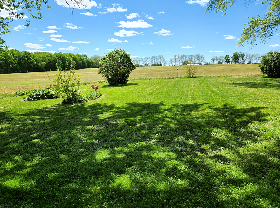 Lawn Mowing in Mason Michigan